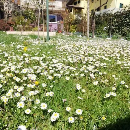 Erica Alpe Adria Appartamento *